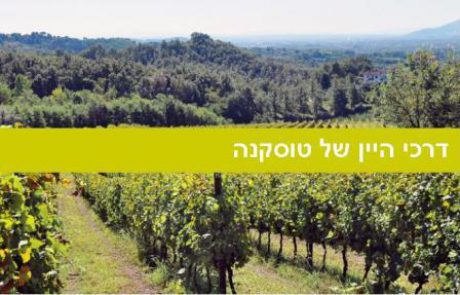 14 דרכי היין של טוסקנה